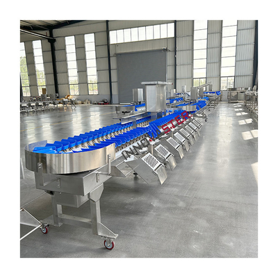220V/380V Macchina automatica per la classificazione del peso dei piedi di pollo di cetriolo marino per il mercato alimentare