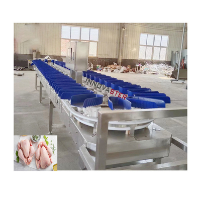 6000x1250x1750mm Intelligent Kiwi Fruit Weight Sorting Grading Machine per la classificazione
