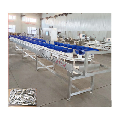 6000x1250x1750mm Gamba di pollo surgelata/ala/abalone Pesatrice e macchina di smistamento 500 kg