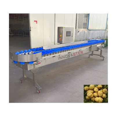 Classificazione accurata Macchina di classificazione automatica del peso per apparecchiature dell'industria alimentare 500 kg