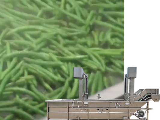 Riciclo dell'acqua SUS 304 Gantry Lift Tank Lavatrice di ortaggi e frutta per la progettazione