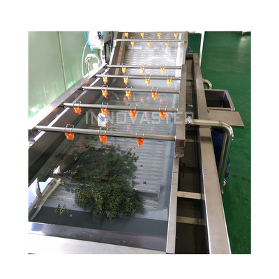 Linea di lavaggio a bolle di frutta e verdura industriale con lavatrice ad acqua di ozono