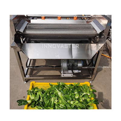 Lavatrice di ginger per ortaggi, peeling per patate, peeling machine per negozi di bevande