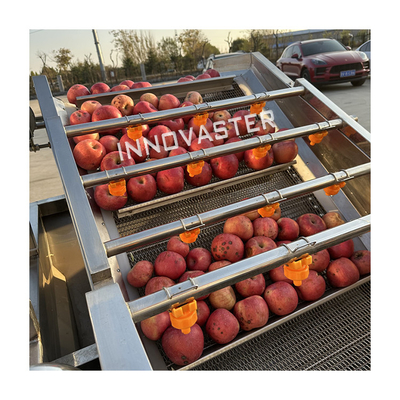 SUS 304 Macchine per la trasformazione della frutta e della verdura Macchine per il lavaggio delle mele, l'essiccazione, la ceretta, la macchinetta per la selezione delle bevande