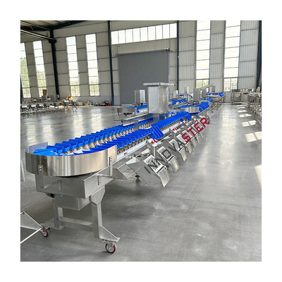 Apparecchiature per l'industria alimentare Macchina di classificazione automatica del peso 2500W per le zampe dei piedi di pollo