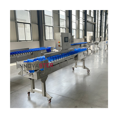 Apparecchiature per l'industria alimentare Macchine automatiche per la classificazione dei gamberetti pesce pesce pesce pesante