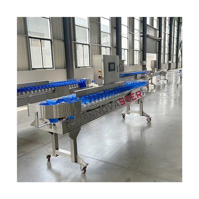 Macchina di classificazione di frutta e verdura all'avanguardia con dimensioni 6000x1250x1750mm