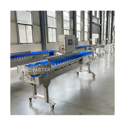 Macchina di classificazione del peso delle zampe di pollo a base di noci per apparecchiature dell'industria alimentare automatica