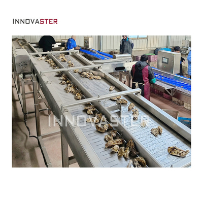 Macchina di classificazione industriale per la classificazione di frutta, verdura, frutti di mare e ostriche