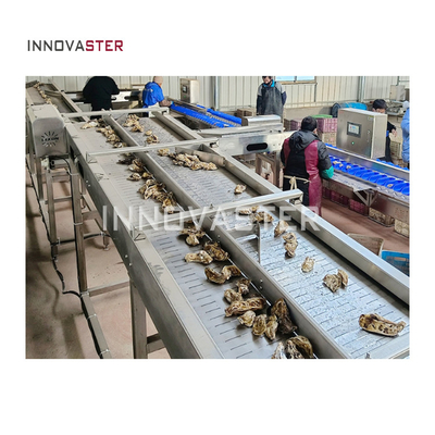 2500W pesce pesce pesce pesce gamberetti Sorting peso lavaggio Ostra classificante macchina 6000x1250x1750mm