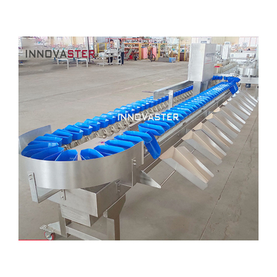 Macchina di classificazione automatica avanzata per la classificazione del peso delle zampe di pollo per frutta e verdura
