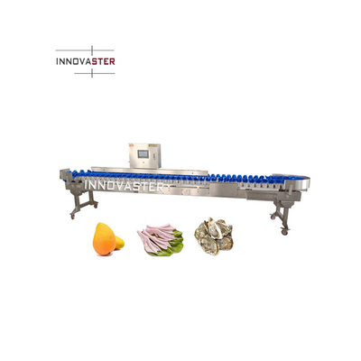 220V/380V Cintura trasportatrice Pesci gamberetti Ostriche Frutti di mare
