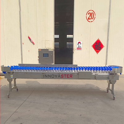 220V/380V Cintura trasportatrice Pesci gamberetti Ostriche Frutti di mare
