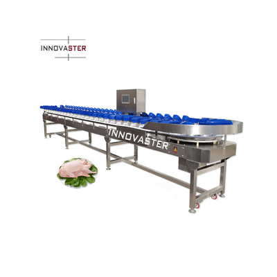 Macchina automatica per la classificazione del peso di pomodori di acciaio inossidabile