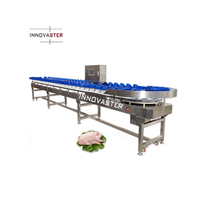 Voltaggio 220V/380V cintura trasportatrice pesce di pollo ostriche limone patate dolci macchina di classificazione del peso