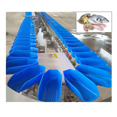 Funzionalità Selezione di frutta e verdura Sorting Grading Machine con 304 in acciaio inossidabile