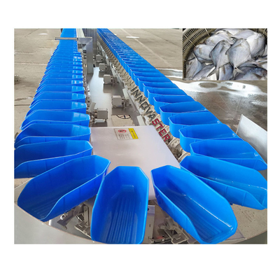 6000x1250x1750mm 304 in acciaio inossidabile Intelligent Carrot Fish Fillet Sorting Equipment