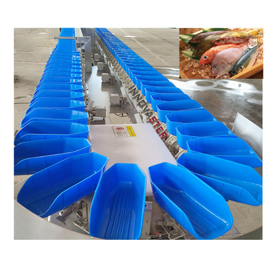 Apparecchiature per la lavorazione del pesce Facile da usare Grader rotativo Macchina di classificazione del peso delle ostriche 220V/380V