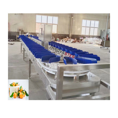 6000x1250x1750mm Alta precisione Performance della macchina di classificazione del peso dei frutti di mare arancioni congelati
