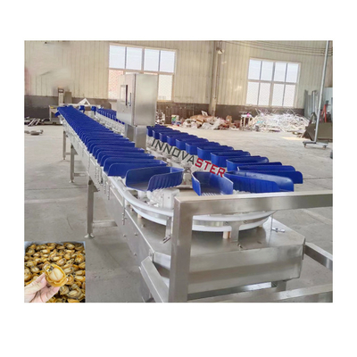 Controllo del pesatore del negozio alimentare Macchina per la classificazione del peso delle ostriche per frutta e verdura 6000x1250x1750mm
