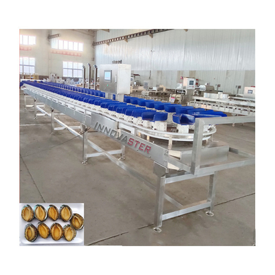 Macchina per la classificazione dei pesci Tilia Grader Anchovy Weight Grader Voltaggio 220V/380V
