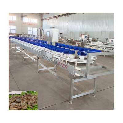 500 kg macchina di smistamento del peso per la classificazione del mango nella fascia trasportatrice per alimenti surgelati inclusa
