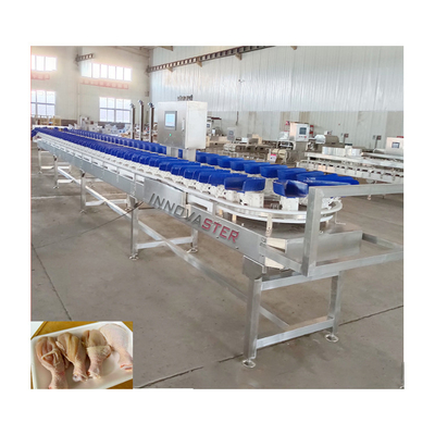 Utilizzo commerciale Macchina per la selezione di ortaggi a cellula di carico per pesce pesce pesce pesce pesce pesce pesce pesce pesce pesce pesce pesce pesce pesce pesce pesce pesce pesce pesce pesce pesce pesce pesce pesce pesce pesce