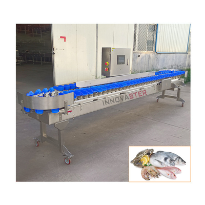 Smart Shrimp Crab Seafood Sorting Machine con apparecchiature per l'industria alimentare da 2500W