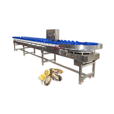 Scelta di ortofrutticoli Selezione di classificazione Funzione di classificazione per pollo/carne bovina/alimenti del mare/pesce e gamberetti