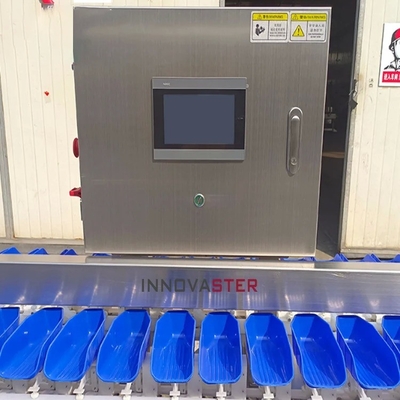 Scelta di ortofrutticoli Selezione di classificazione Funzione di classificazione per pollo/carne bovina/alimenti del mare/pesce e gamberetti