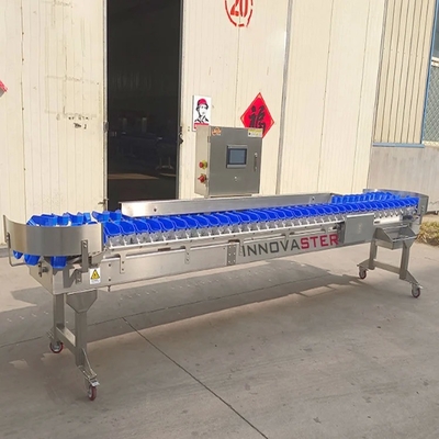 Classificazione accurata Macchina di classificazione automatica del peso per apparecchiature dell'industria alimentare 500 kg