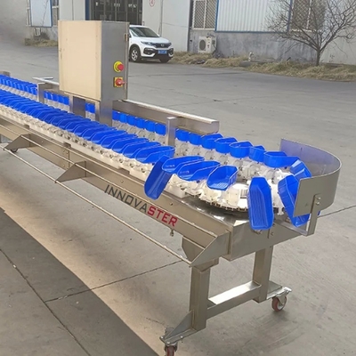 Classificazione accurata Macchina di classificazione automatica del peso per apparecchiature dell'industria alimentare 500 kg