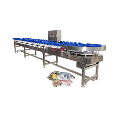 Macchina per la classificazione in peso di prodotti alimentari per frutta e verdura/pesce/frutti di mare