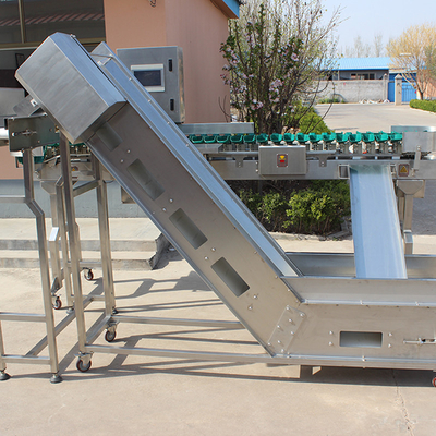 Macchina automatica di classificazione del peso del pollo per la classificazione in acciaio inossidabile