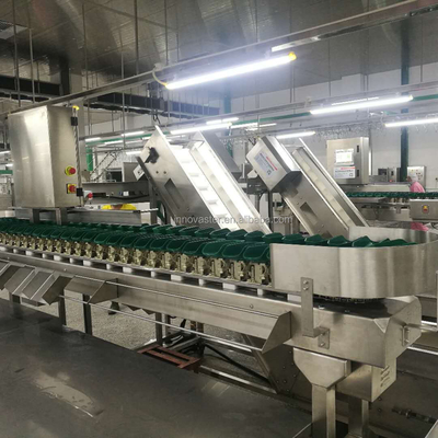Macchina per la selezione dei pesci da ostriche per la lavorazione della carne
