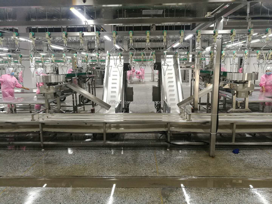 Macchina per la selezione dei pesci da ostriche per la lavorazione della carne