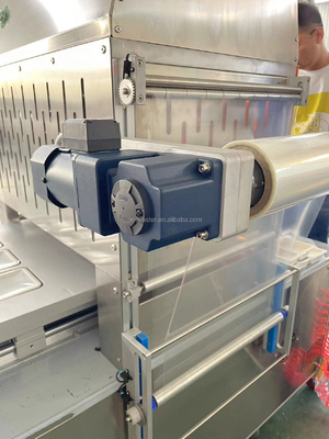 Atmosfera modificata Macchina per imballaggio ad alta protezione Durian essiccata al congelamento per un'operazione facile