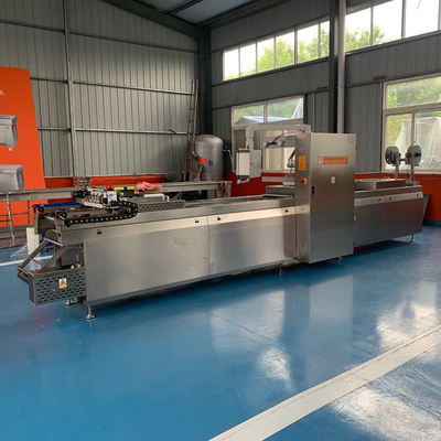 Macchina di imballaggio a vuoto termoformale automatica per pelle adatta a vari prodotti
