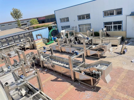 Macchina di scongelazione di gamberetti di carne congelata a velocità regolabile di sollevamento