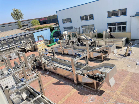 Facile funzionamento Gantry Lifting Defrost Machine per pollo gamba pollo ala pesce gamberi