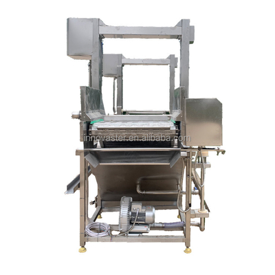 Defrizzatore automatico avanzato per carne surgelata gamberi pesce pollo frequenza 50/60Hz